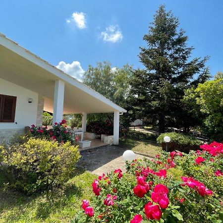 Rose Country Villa Cassano delle Murge Exteriör bild