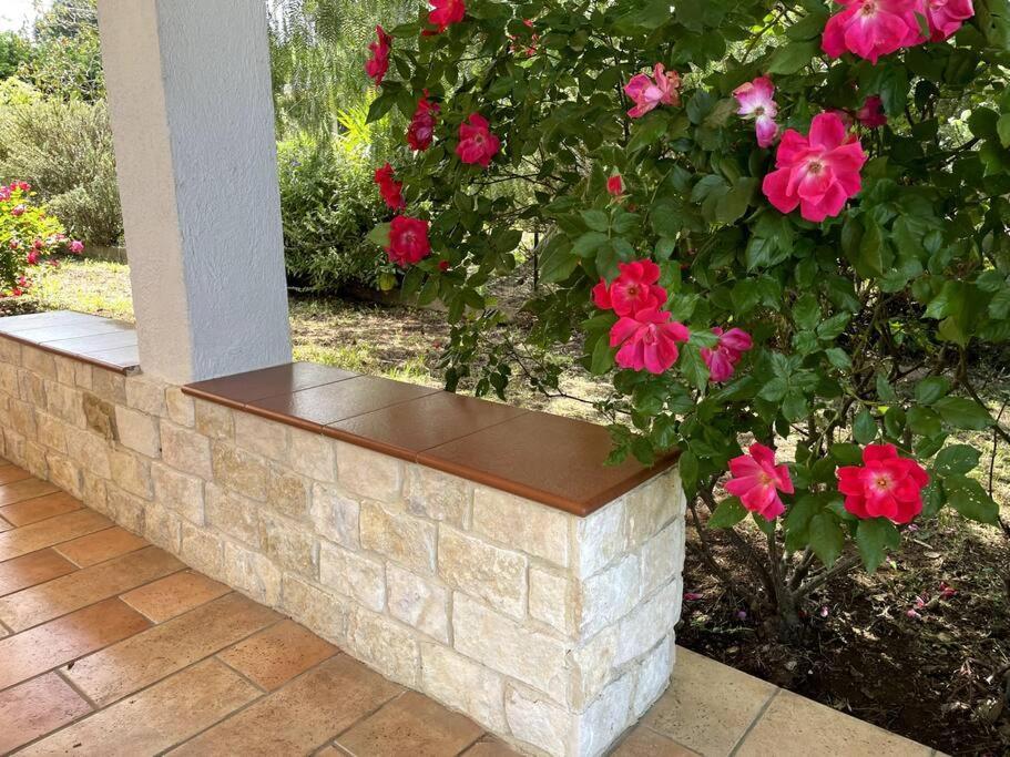 Rose Country Villa Cassano delle Murge Exteriör bild